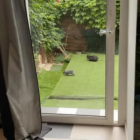 Ensoleille Sur * Montpellier