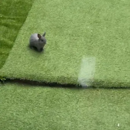 Apartment Ensoleille Sur Montpellier