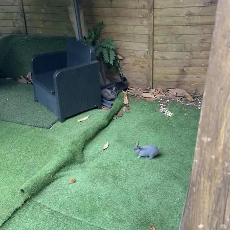 Ensoleille Sur Apartment *